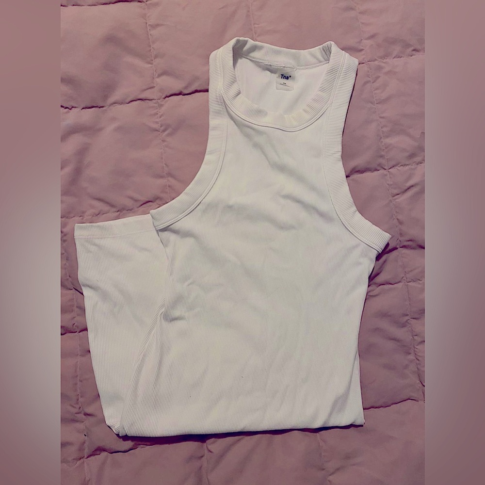Aritzia tna Quartz Dress